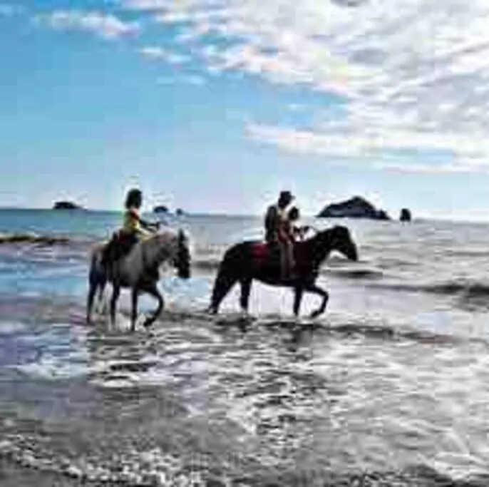 Dhozt Marlinda Beach House. Cartagena Colombia